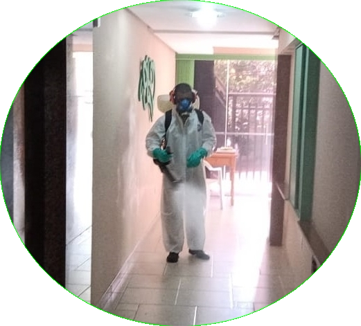 Equipe InsectKill Cupim